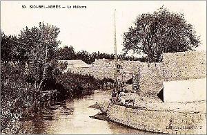 Sidi bel abbes 173